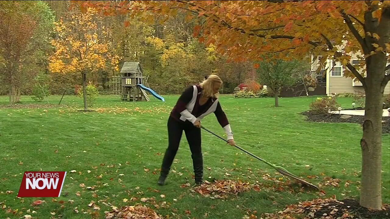 Leaf bags are now available for Lima residents